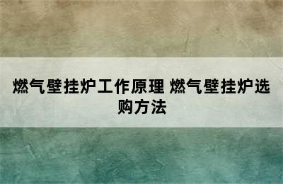 燃气壁挂炉工作原理 燃气壁挂炉选购方法